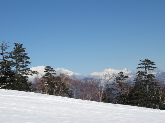 雪不足だが|御嶽スキー場（旧 Ontake2240）のクチコミ画像