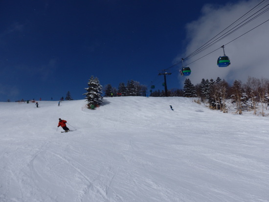 久々の寒中スキー|志賀高原 焼額山スキー場のクチコミ画像