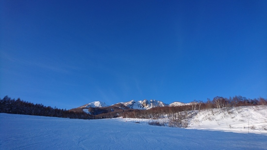 豪雪の合間に1日だけ晴天|妙高杉ノ原スキー場のクチコミ画像