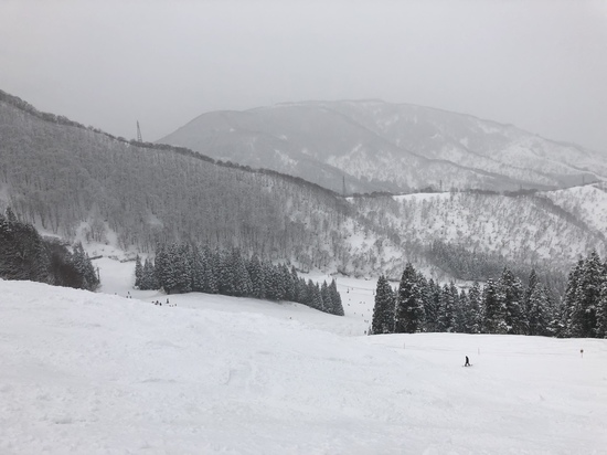 神立高原スキー場|神立スノーリゾートのクチコミ画像3