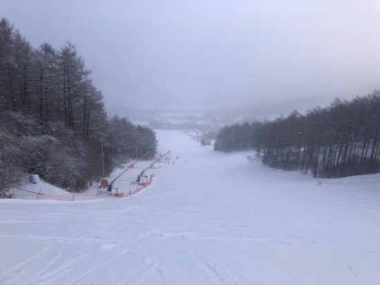 薄っすらパウダー