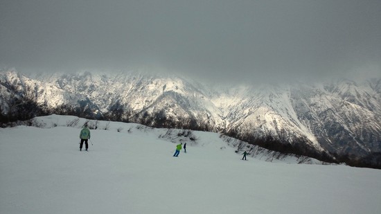 白馬五竜11月に天然雪|エイブル白馬五竜のクチコミ画像