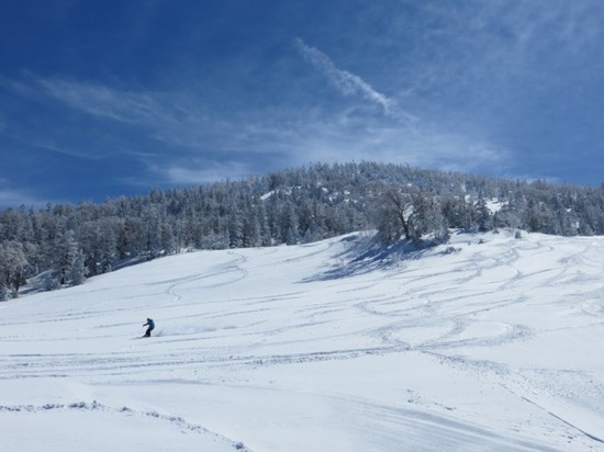 雪質最高|天元台高原のクチコミ画像
