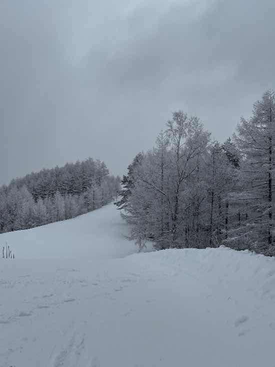 最高の雪質|やぶはら高原スキー場のクチコミ画像2