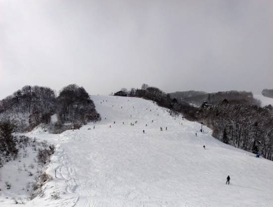 ボードが流れたのに遭遇