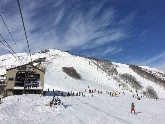 雪降って下さい|白馬八方尾根スキー場のクチコミ画像