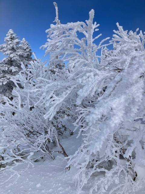 良かったです|天元台高原のクチコミ画像3