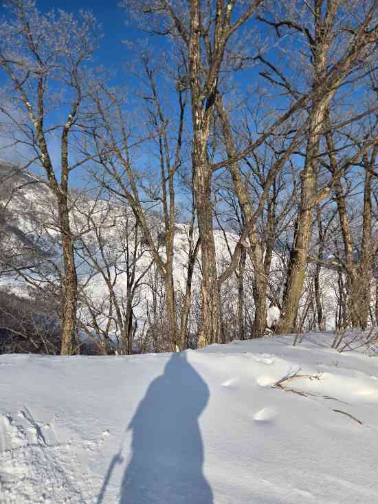 白馬乗鞍温泉スキー場のフォトギャラリー2