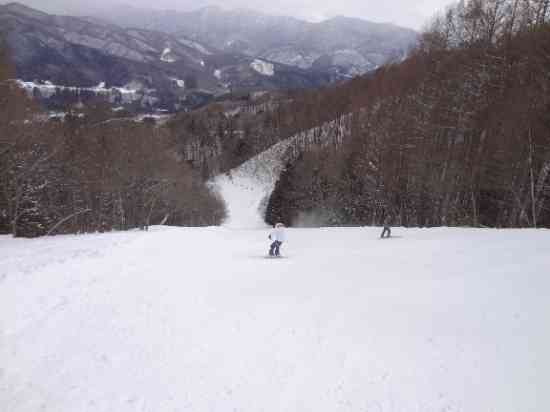 脇パウありました～ワンダーランドかたしなレビューキャンペーン～|かたしな高原スキー場のクチコミ画像