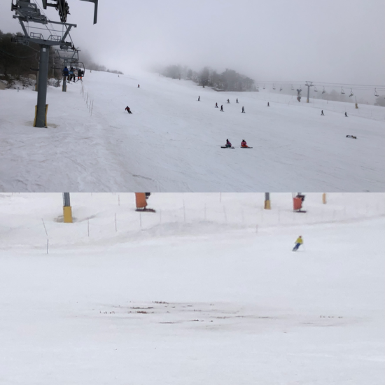 ブッシュ|Mt.KOSHA よませ温泉スキー場 & X-JAM 高井富…のクチコミ画像