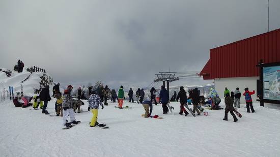 ワンダーランドかたしなレビューキャンペーン|のクチコミ画像