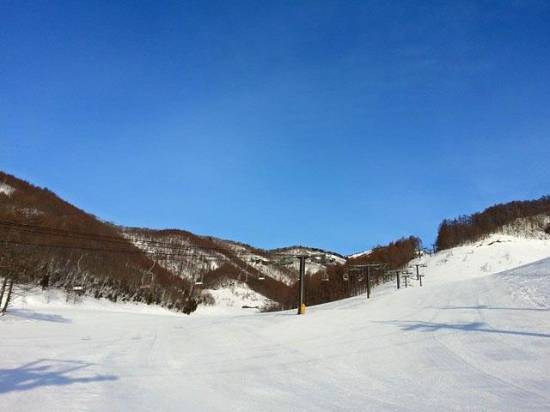 ワンダーランドかたしなレビューキャンペーン