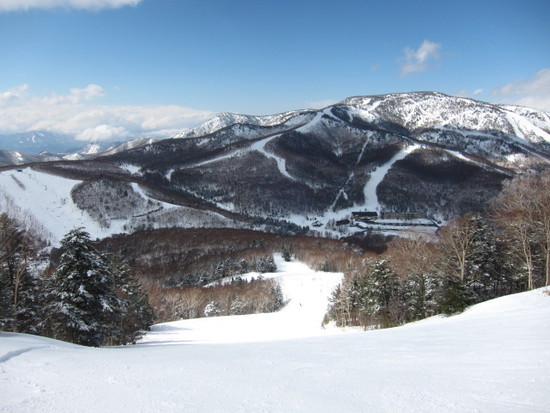 長野県 志賀高原一ノ瀬ダイヤモンド、ファミリーの速報|志賀高原リゾート中央エリア（サンバレー～一の瀬）のクチコミ画像