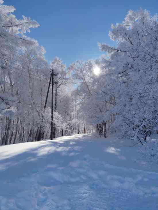 晴れ❓️|野沢温泉スキー場のクチコミ画像