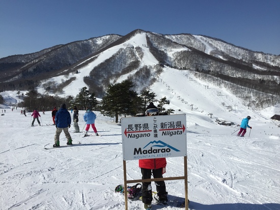 雪だるま|斑尾高原スキー場のクチコミ画像