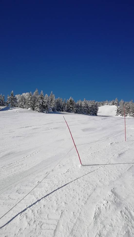 ワンダーランドかたしなレビューキャンペーン