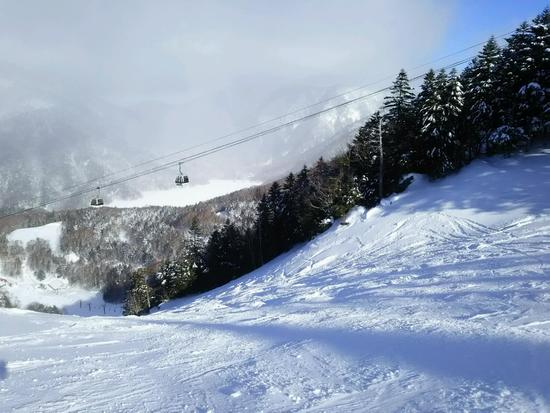 雪質最高！|のクチコミ画像