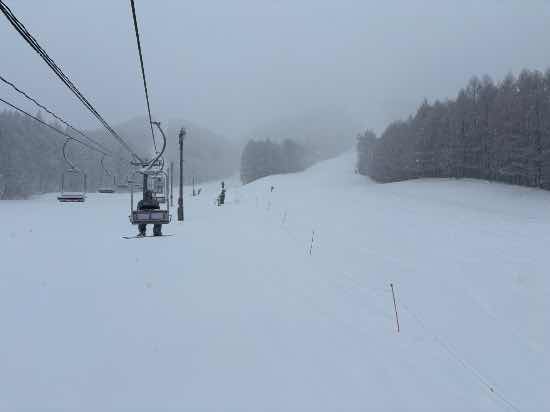 固いバーン|星野リゾート ネコマ マウンテン(旧アルツ磐梯＆猫魔スキー場…のクチコミ画像