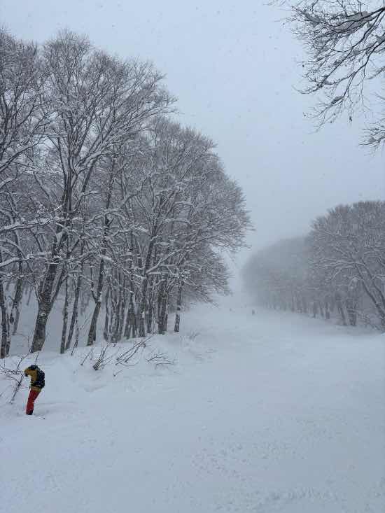 雪が深くて体力消耗