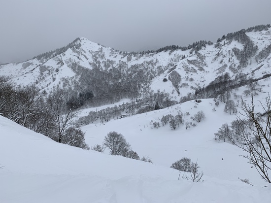 雪は良い|湯沢中里スノーリゾートのクチコミ画像1