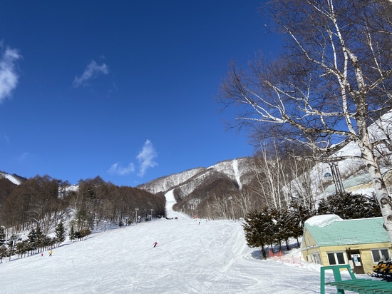 雪質|ホワイトワールド尾瀬岩鞍のクチコミ画像