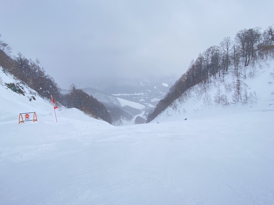 雪質|ホワイトワールド尾瀬岩鞍のクチコミ画像3