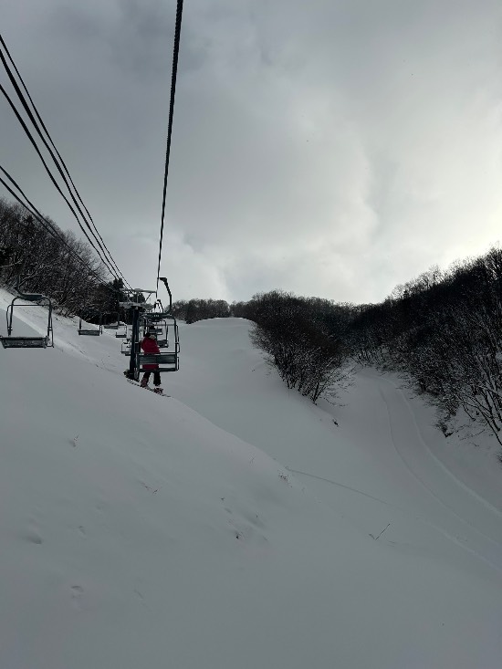 続パウダー祭り|ホワイトバレーみなかみのクチコミ画像