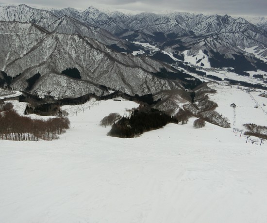 山頂へ挑戦|のクチコミ画像
