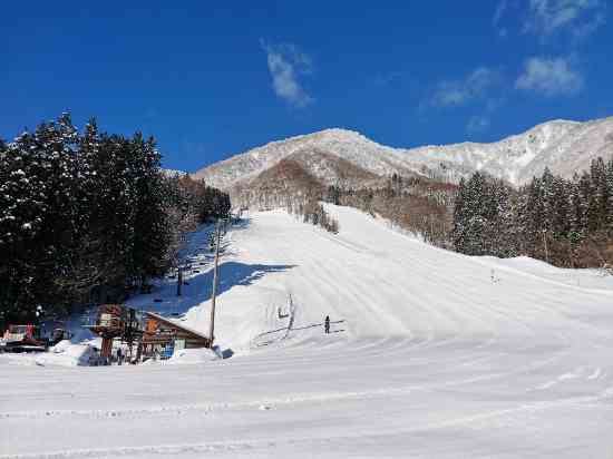 ビギナー向けではない|White Resort 白馬さのさかのクチコミ画像