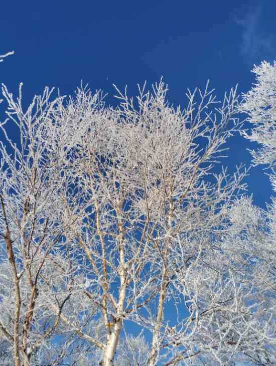 ピーカン☀|野沢温泉スキー場のクチコミ画像