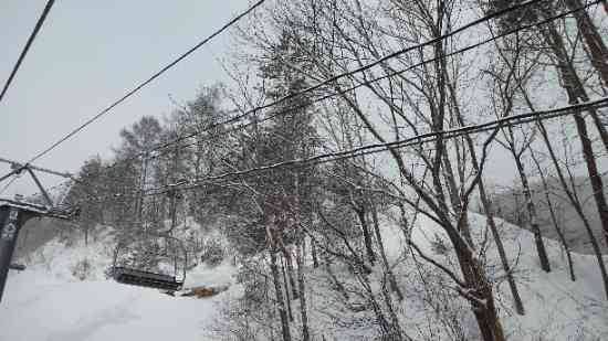 ワンダーランドかたしなレビューキャンペーン|ホワイトワールド尾瀬岩鞍のクチコミ画像