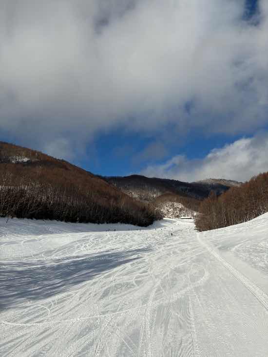ワンダーランドかたしなレビュー