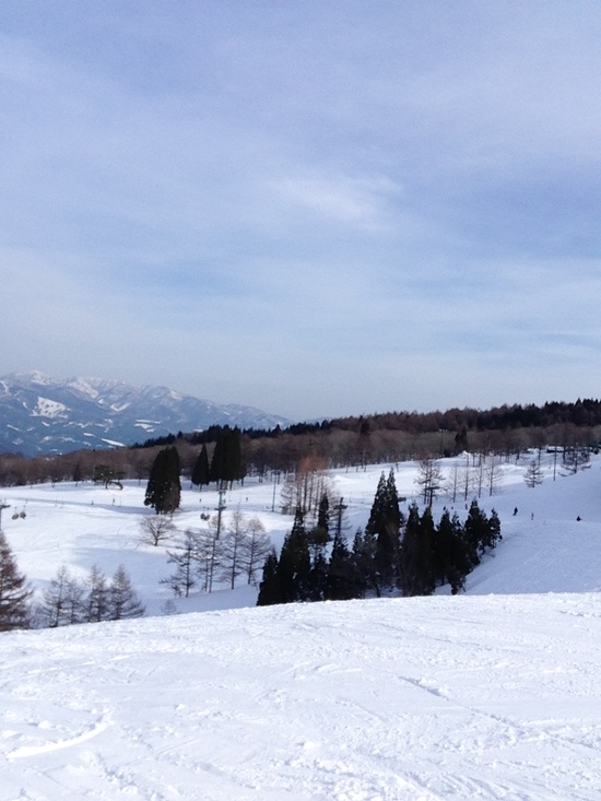 安く滑れるファミリーゲレンデ|スノーウェーブパーク白鳥高原のクチコミ画像