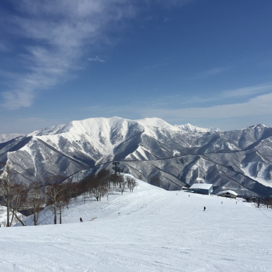 とにかく幅広く！|苗場スキー場のクチコミ画像