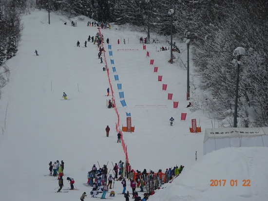 モーグルコース、全てオープン|White Resort 白馬さのさかのクチコミ画像