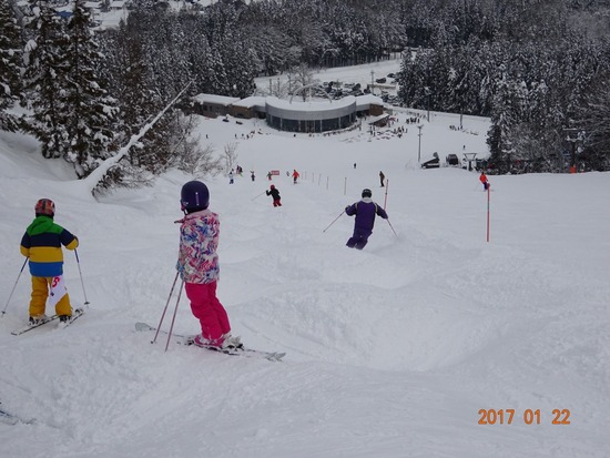 モーグルコース、全てオープン|White Resort 白馬さのさかのクチコミ画像2
