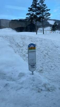 利用者のレベルが高い|カムイスキーリンクスのクチコミ画像3