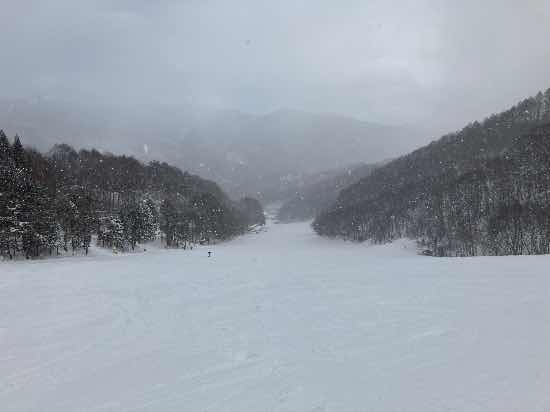 ワンダーランドかたしなレビューキャンペーン