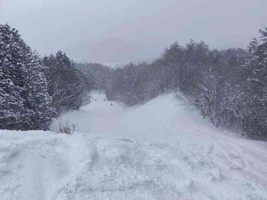 幅広400mバーンのあるスキー場❀|大佐スキー場のクチコミ画像