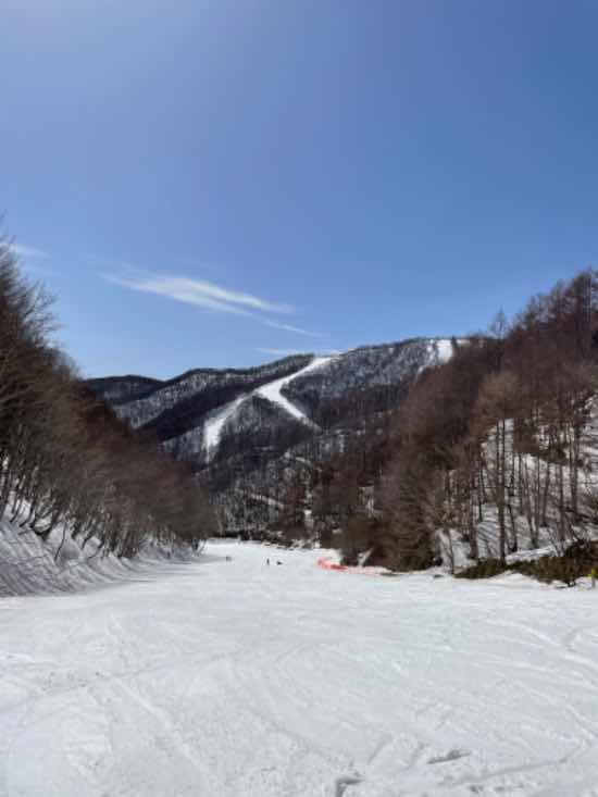 尾瀬岩鞍|ホワイトワールド尾瀬岩鞍のクチコミ画像