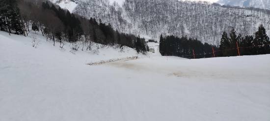 シャバ雪|神立スノーリゾートのクチコミ画像