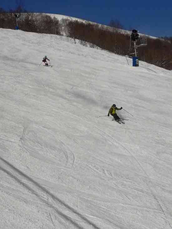 ワンダーランドかたしなレビューキャンペーン