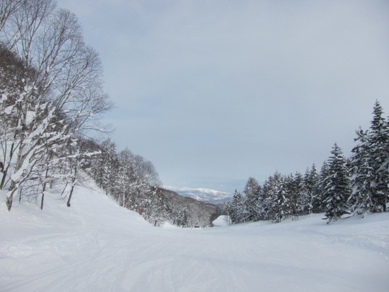 2014/01/18（土）　北海道ルスツリゾートの速報|ルスツリゾートのクチコミ画像