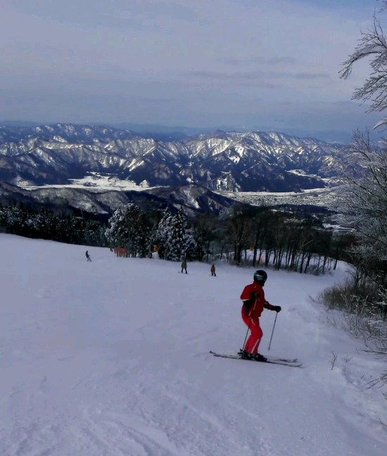 天然雪最高！|スキージャム勝山のクチコミ画像