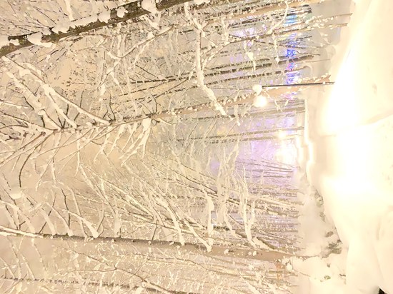 新富良野プリンスホテルと富良野スキー場に初スキーに家族で来ました 富良野スキー場 口コミ レビュー スキー場情報サイト Surf Snow