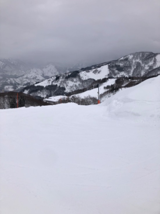雪質バツグン|GALA湯沢スキー場のクチコミ画像