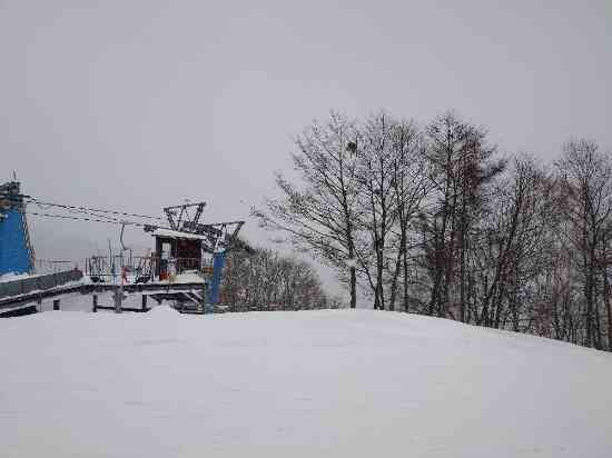 スキーヤーには最高|かたしな高原スキー場のクチコミ画像