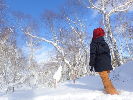 雪質最高|サッポロテイネのクチコミ画像