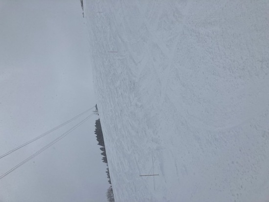 雪はまだまだ豊富です|湯沢高原スキー場のクチコミ画像