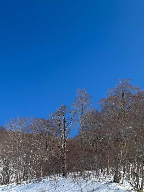 岩鞍ブルー|ホワイトワールド尾瀬岩鞍のクチコミ画像